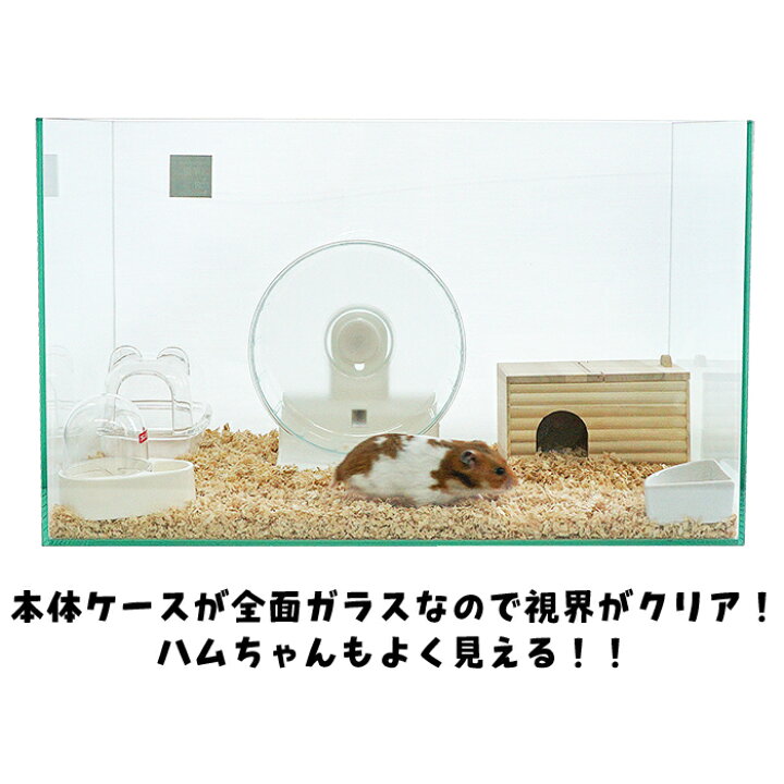 楽天市場】600ハムスターHIGH ゴールデンハムスター飼育セットII【B 