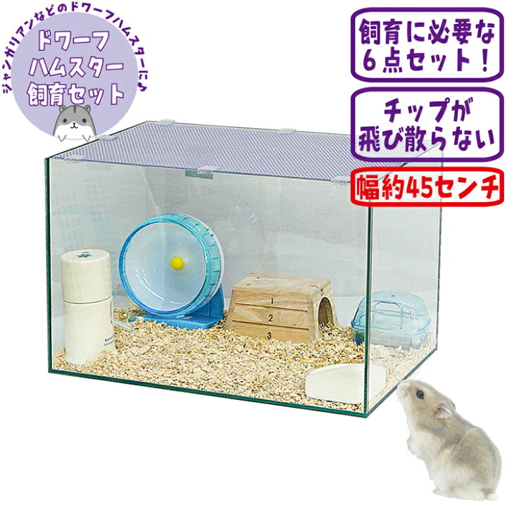 楽天市場】450ハムスターHIGH ジャンガリアン飼育セット【一度のご注文 