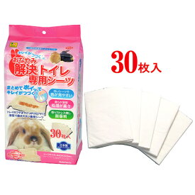おなやみ解決トイレ専用シーツ