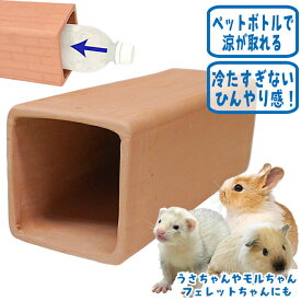 ペットボトルで ひんやりテラコッタ