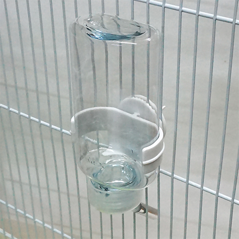 楽天市場】ハーモニーボトル150mL/給水器 吸水器 水飲み ウォーター