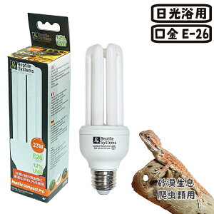 v^CRpNgv ঒ޗp 23W pv