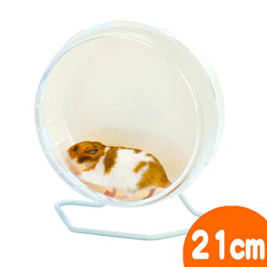 y28NZ[Eʌ艿izTCgzC[ tbg21