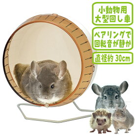 サイレントホイール フラット30