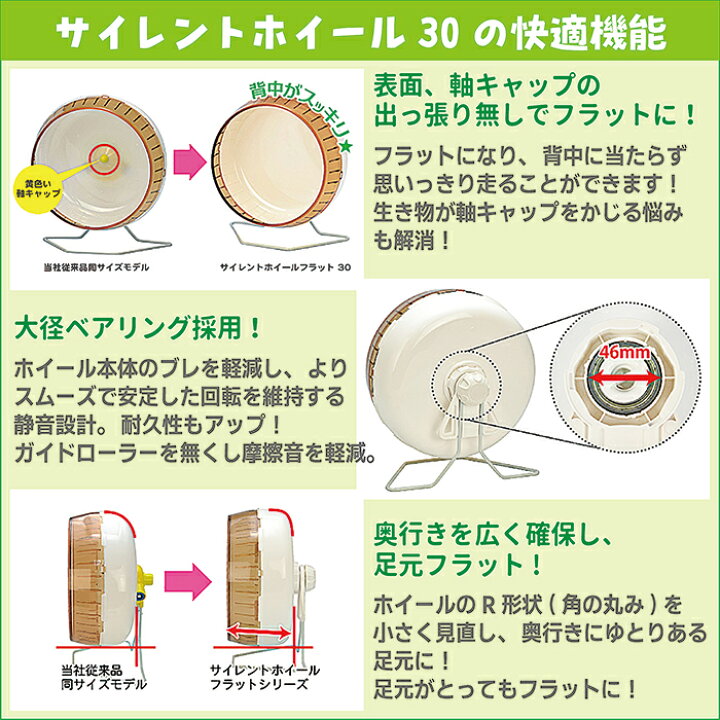 楽天市場】サイレントホイール フラット30 : 小動物専門店ヘヴン