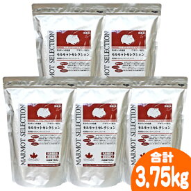 モルモットセレクション750g【5個セット・1個あたり1270円】/フード 主食 ペレット エサ ビタミンC 乳酸菌 アガリクス SERECTION