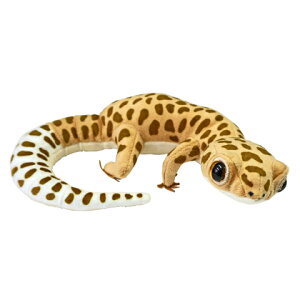 qEgJQhL/HYOUMONTOKAGEMODOKI ʂ kCO~ ঒ TST