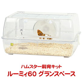 ルーミィ60 グランスペース クリアー【一度のご注文で1個まで】/飼育ケース ハムスターケージ ジャンガリアン ゴールデン SANKO サンコー 三晃商会
