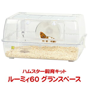 [~B60 OXy[X NA[yx̂1܂Łz/P[X nX^[P[W WKA S[f SANKO TR[ OW