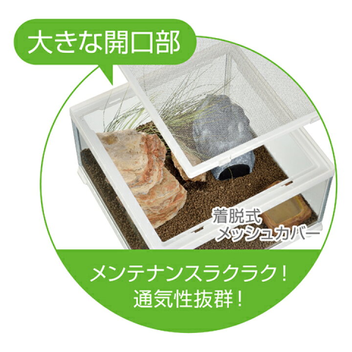 楽天市場】レプテリアホワイト300CUBE High : 小動物専門店ヘヴン