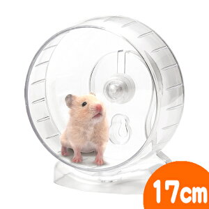 N[zC[17/񂵎 ԗ LN}nX^[ }J MARUKAN minimalLAND