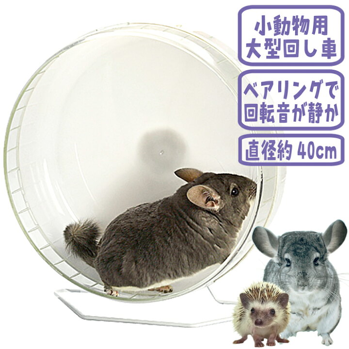 楽天市場】サイレントホイール フラット40 : 小動物専門店ヘヴン