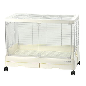 C[W[z[ VCj[ 80WHyx̂1܂Łz