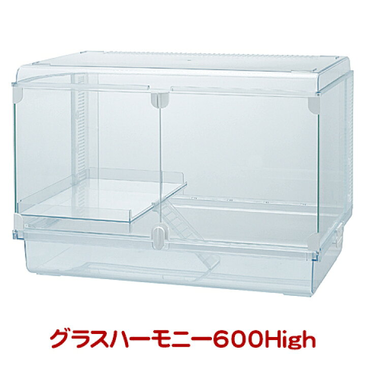 楽天市場】グラスハーモニー600High【一度のご注文で1個まで 
