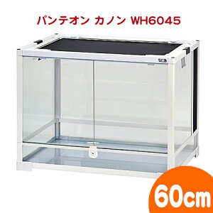 peI Jm zCg WH6045yx̂1܂Łz