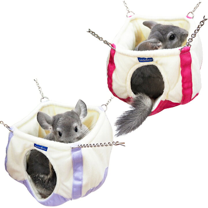 楽天市場】レインボー チンチラポット : 小動物専門店ヘヴン 