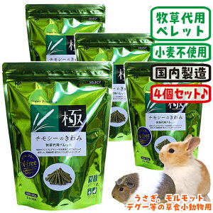 yʌZ[Iz`V[̂݁y4ZbgE11120~z