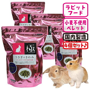 yʌZ[Iẑ݁y4ZbgE11499~z