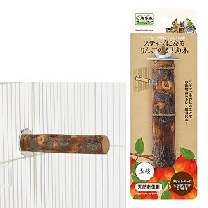 CASA XebvɂȂ 񂲂̂ }