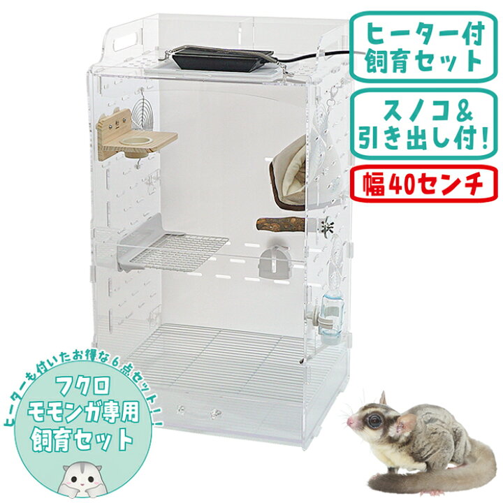 楽天市場】【数量限定特価セール中！ 】フクロモモンガ専用飼育ケース 
