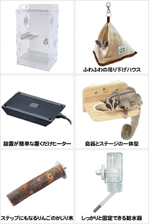 楽天市場】【数量限定特価セール中！ 】フクロモモンガ専用飼育ケース 