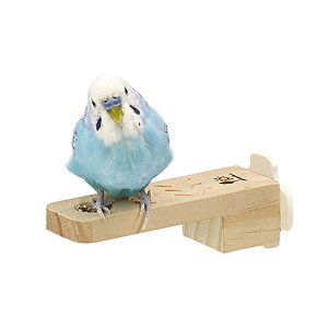 񂵂tbgp[` V[g/Ƃ܂ ~܂  CR  TR[ SANKO OW