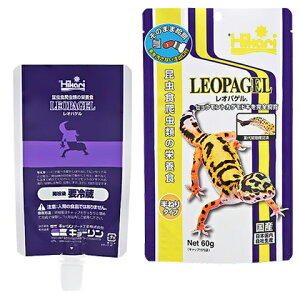 IpQ 60g/GT a  ঒ރt[h Y Ip[hQbR[ qEgJQhL Ђ L[