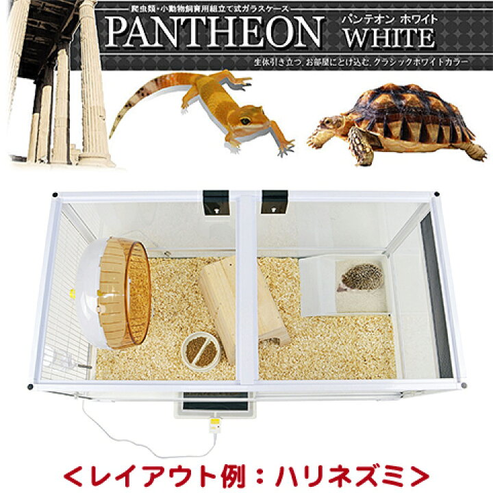 楽天市場】パンテオン ホワイト WH9045【一度のご注文で1個まで 