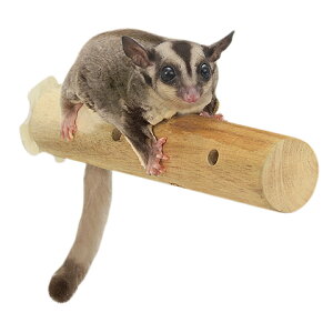 X AJVAp[`/Ƃ܂ ~܂ tNK V}X fO[ SANKO OW