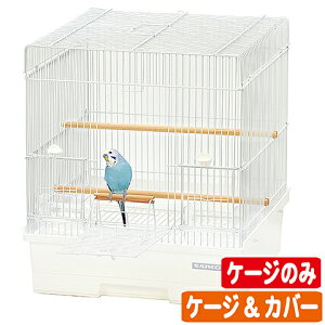 o[hLr 37yP[Ŵ E P[W&Jo[z