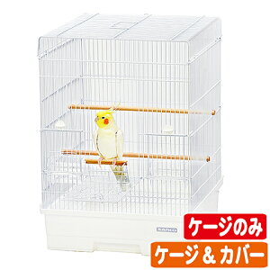 o[hLr 37LTyP[Ŵ E P[W&Jo[z