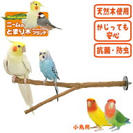 ニームのとまり木 ブランチ