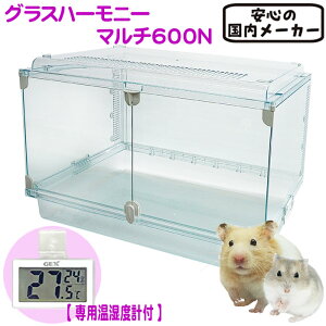 ypfW^xvtzOXn[j[}`600N