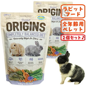 オリジンズ ラビット【2個セット】