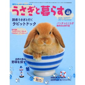 楽天市場 うさぎ 医療の通販 楽天市場 うさぎ 医療の通販