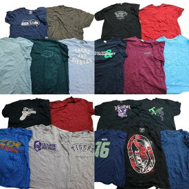 古着卸 まとめ売り 半袖Tシャツ 20枚セット (メンズ 2XL /3XL ) ビッグプリント 無地 アメカジ MS4201