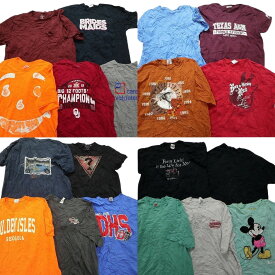 古着卸 まとめ売り カラーmix プリント 半袖Tシャツ 19枚セット (メンズ XL ) ディズニー ミッキー キャラクター 大判 イラスト MS4295