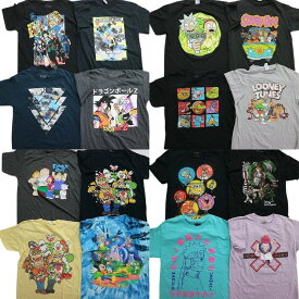古着卸 まとめ売り キャラクター 半袖Tシャツ 16枚セット (メンズ /M ) マリオ ミッキー ディズニー MS4605