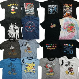 古着卸 まとめ売り キャラクター 半袖Tシャツ 16枚セット (メンズ S /M ) ポケモン ミッキー ディズニー MS4607