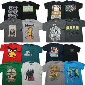 古着卸 まとめ売り キャラクター 半袖Tシャツ 16枚セット (メンズ XS /S ) ガーフィールド マリオ ディズニー スヌーピー MS9384