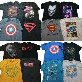 古着卸 まとめ売り マーベル DCコミック 半袖Tシャツ 16枚セット (メンズ L /XL ) スーパーマン バットマンヴェノム MS9389