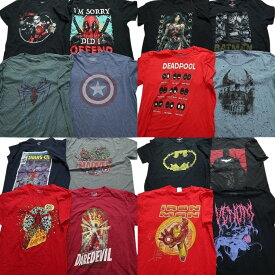 古着卸 まとめ売り マーベル DCコミック 半袖Tシャツ 16枚セット (メンズ L ) スーパーマン ハーレクイン デッドプール MS9391