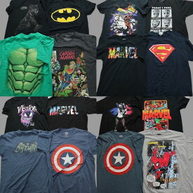 古着卸 まとめ売り マーベル DCコミック 半袖Tシャツ 16枚セット (メンズ M ) ハーレークイン スーパーマン MS9393