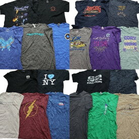 古着卸 まとめ売り カラーmix プリント 半袖Tシャツ 20枚セット (メンズ XL ) マイケルジャクソン DC 英字ロゴプリント MS9562