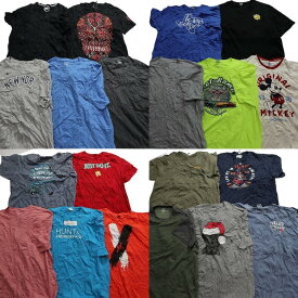 古着卸 まとめ売り カラーmix プリント 半袖Tシャツ 20枚セット (メンズ 2XL ) ナイキ スカル ミッキー ワンポイントロゴ MT0185
