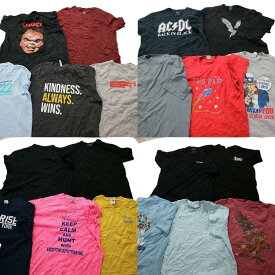 古着卸 まとめ売り カラーmix プリント 半袖Tシャツ 20枚セット (メンズ XL /2XL ) チャッキー 映画 アニマル ACDC バンドT MT0364