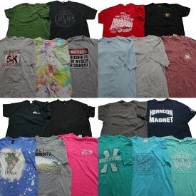 古着卸 まとめ売り カラーmix プリント 半袖Tシャツ 20枚セット(メンズ L )ボディプリント タイダイ ブランドMIX カーハート ナイキ MT0488