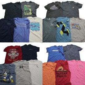 古着卸 まとめ売り カラーmix プリント 半袖Tシャツ 20枚セット (メンズ M ) ボディプリント ディズニー カーハート 無地 MT0505