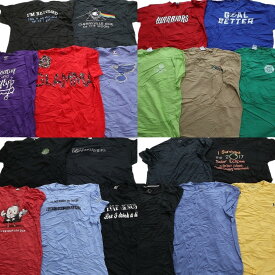 古着卸 まとめ売り カラーmix プリント 半袖Tシャツ 20枚セット (メンズ XL ) ポロラルフ ナイキ ワンポイントロゴ 英字ロゴ MT1322