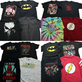古着卸 まとめ売り マーベル DCコミック 半袖Tシャツ 16枚セット (メンズ L /XL ) タイダイ スパイダーマン バットマン MT2699